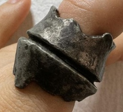 ANILLO CUERPO Y TEC 2